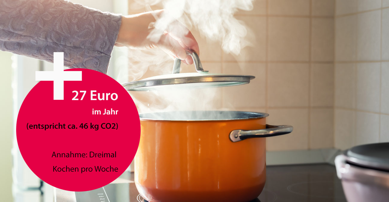 + 27 Euro im Jahr (entspricht ca. 46 kg CO2) Annahme Dreimal Kochen pro Woche © AdobeStock: Kirill Gorlov